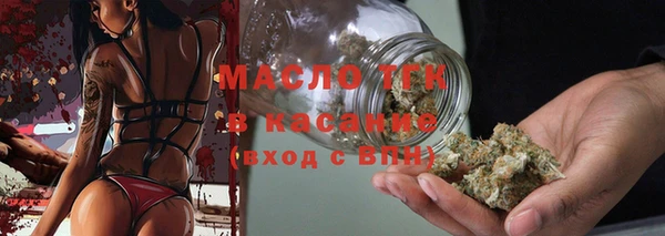 шишки Покачи
