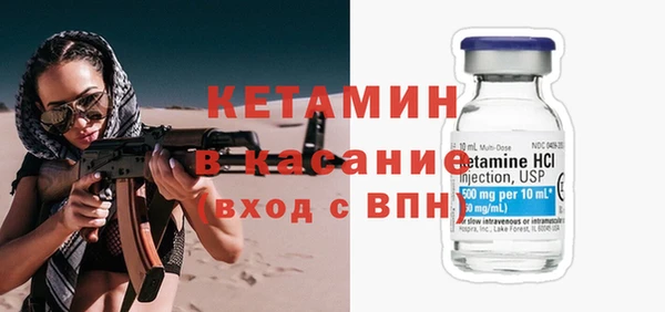 гидра Кемь