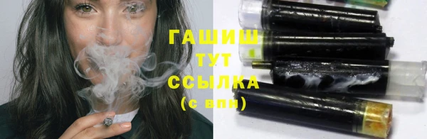 шишки Покачи