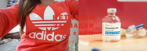 шишки Покачи