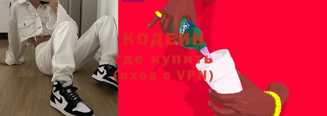 шишки Покачи