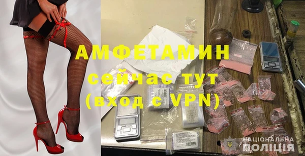 шишки Покачи