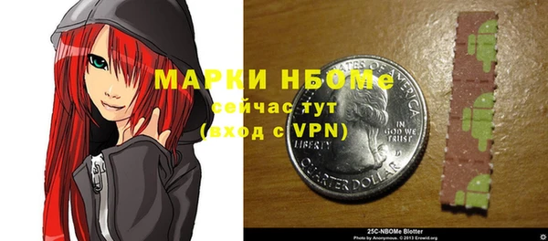 шишки Покачи