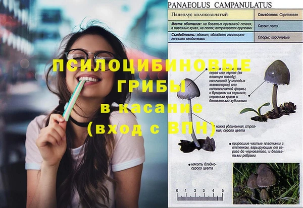 шишки Покачи