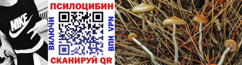 Галлюциногенные грибы мухоморы  где купить   Шарья 